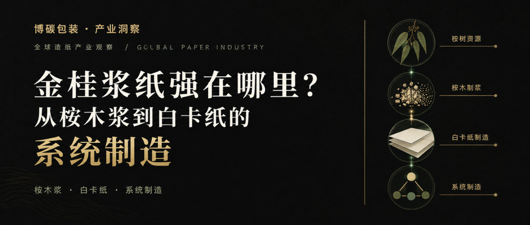Editorial illustration accompanying “What Makes Guangxi Jingui Strong? From Eucalyptus Chemi-Mechanical Pulp to Premium Folding Boxboard”.