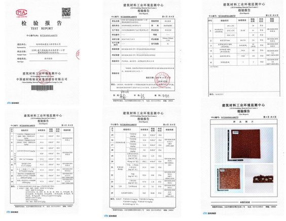 首届西安丝路教育装备高峰论坛 陕首例新国标跑道检测合格（华商网）