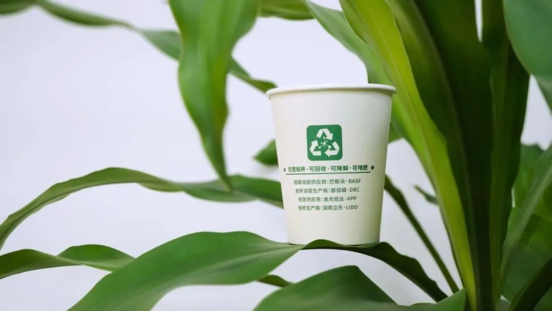 都佰城与价值链伙伴协同创新——无塑纸杯应用技术全球发布会