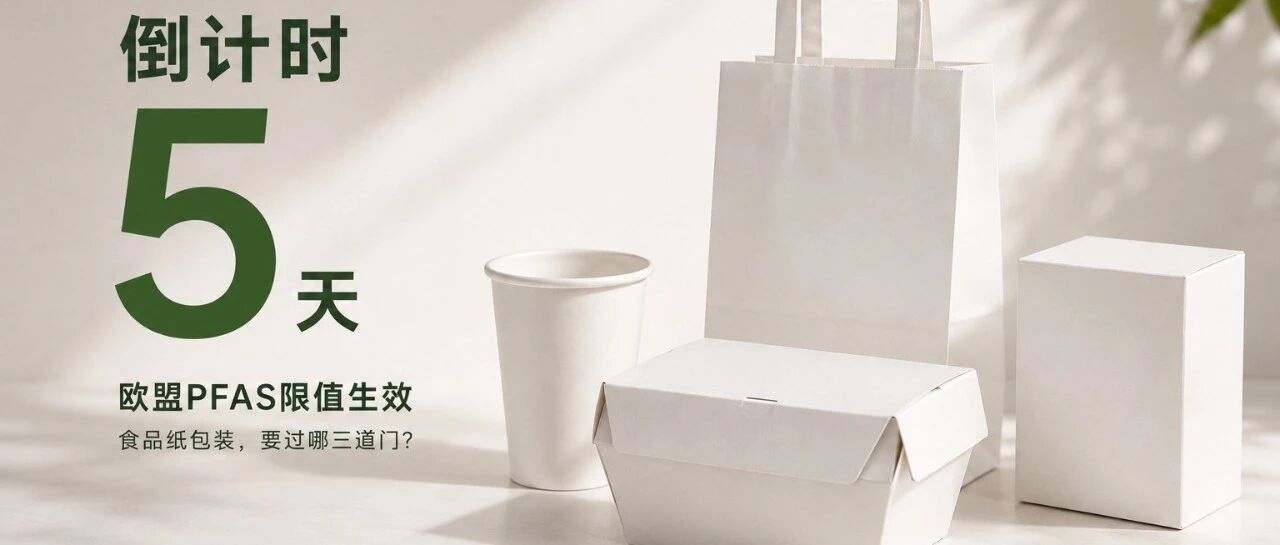 倒计时5天:欧盟PFAS限值生效,食品纸包装要过哪三道门?