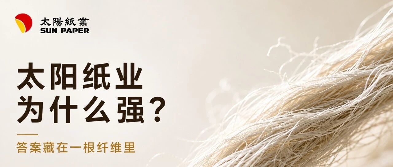 太阳纸业为什么强? 答案藏在一根纤维里