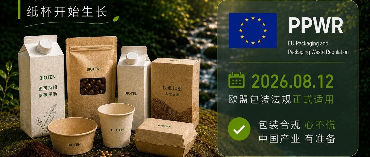 我们一直在做一件有意义的事儿,让纸杯拥有第二次生命