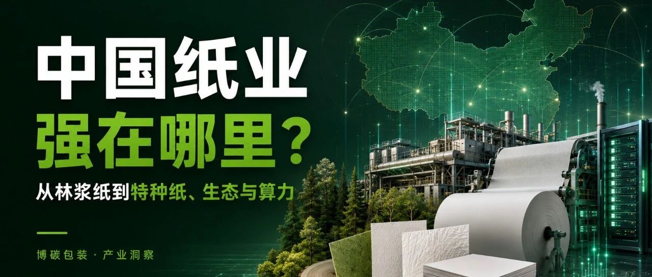 中国纸业强在哪里？从林浆纸到特种纸、生态与算力
